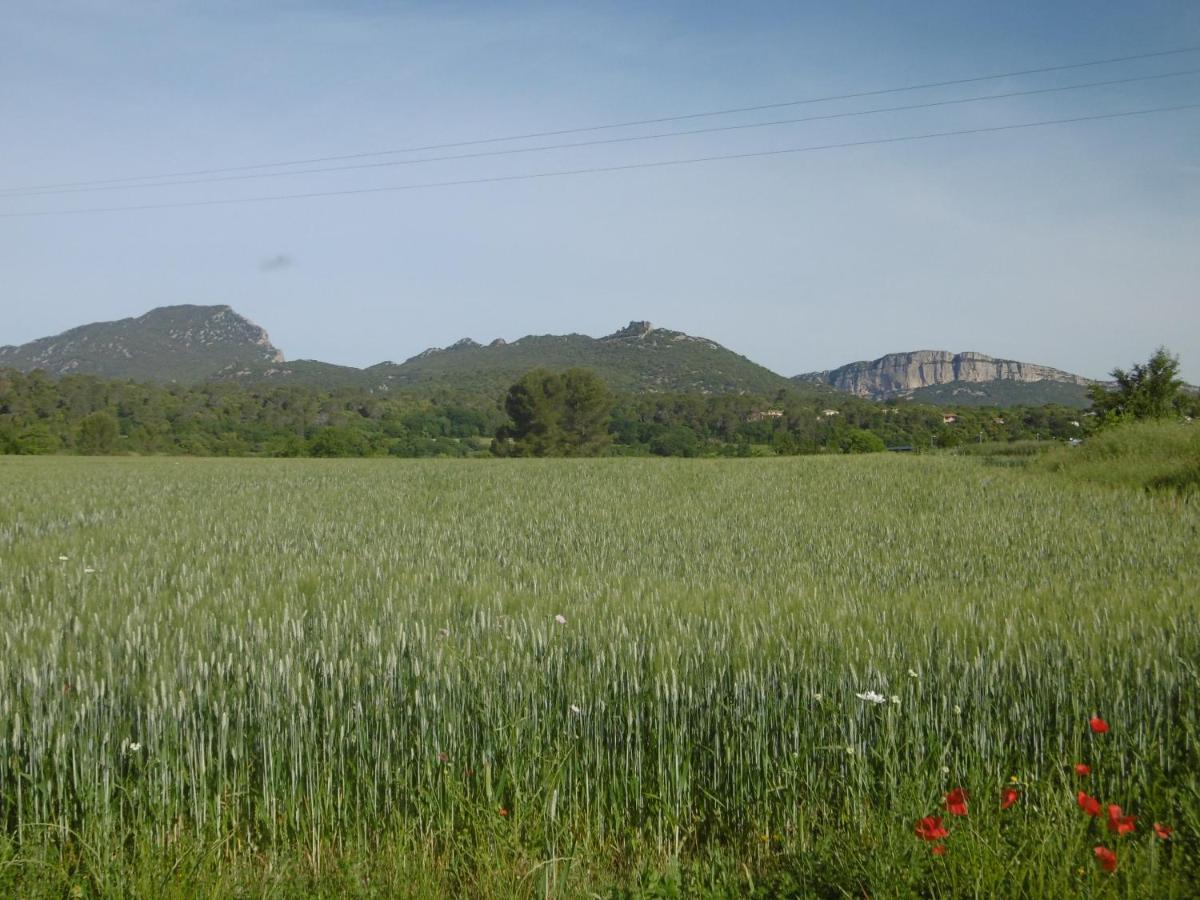 Le Castellas Du Pic St Loup Saint-Mathieu-de-Tréviers 외부 사진