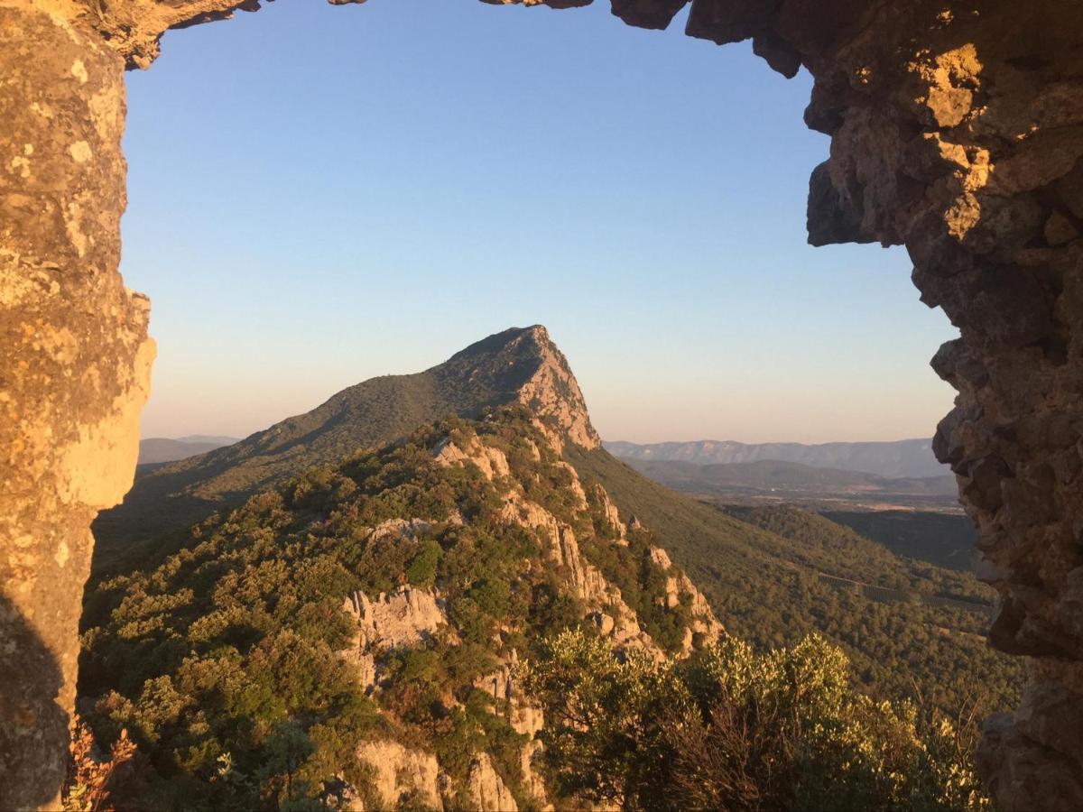 Le Castellas Du Pic St Loup Saint-Mathieu-de-Tréviers 외부 사진