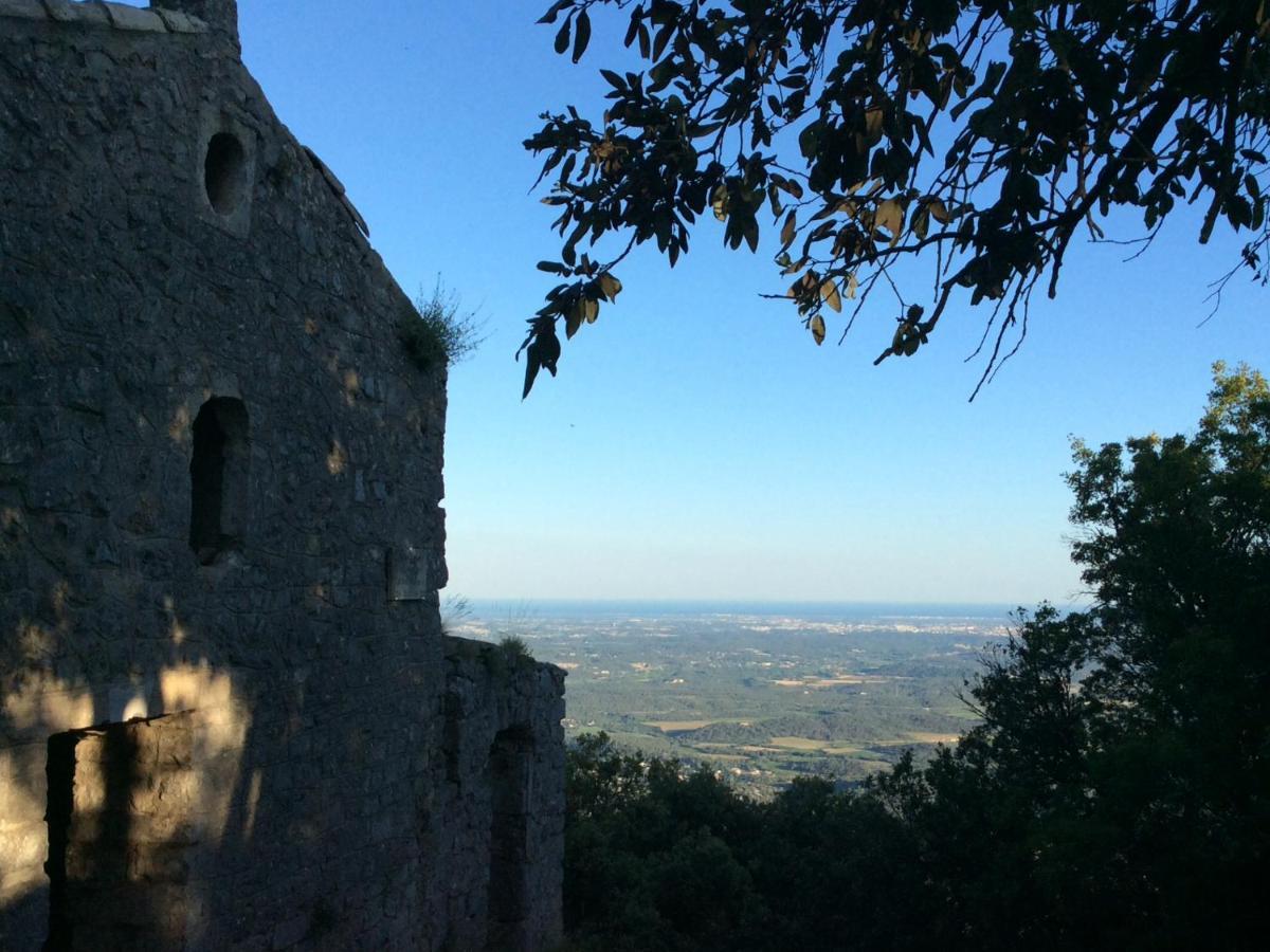 Le Castellas Du Pic St Loup Saint-Mathieu-de-Tréviers 외부 사진