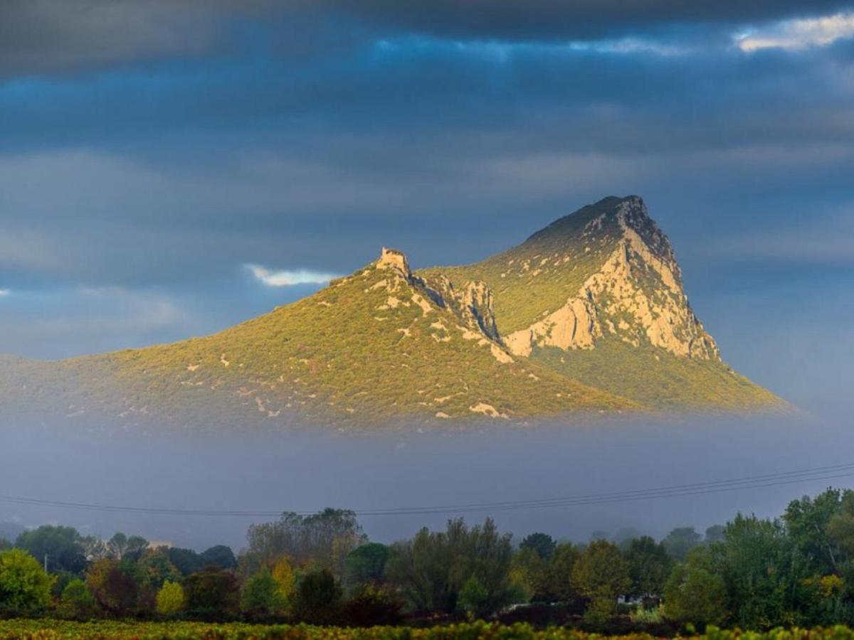 Le Castellas Du Pic St Loup Saint-Mathieu-de-Tréviers 외부 사진
