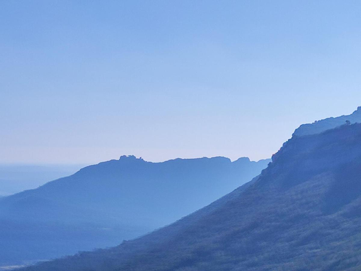 Le Castellas Du Pic St Loup Saint-Mathieu-de-Tréviers 외부 사진