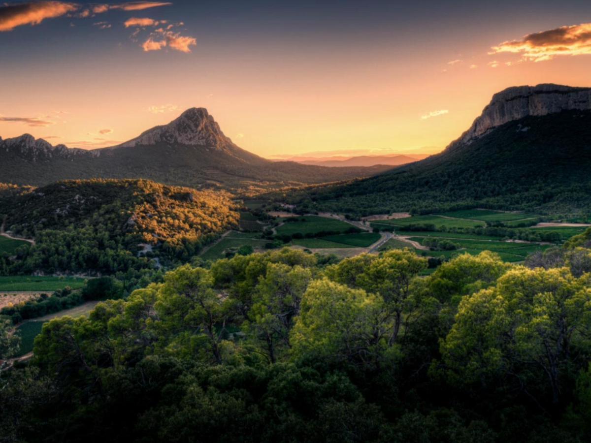 Le Castellas Du Pic St Loup Saint-Mathieu-de-Tréviers 외부 사진