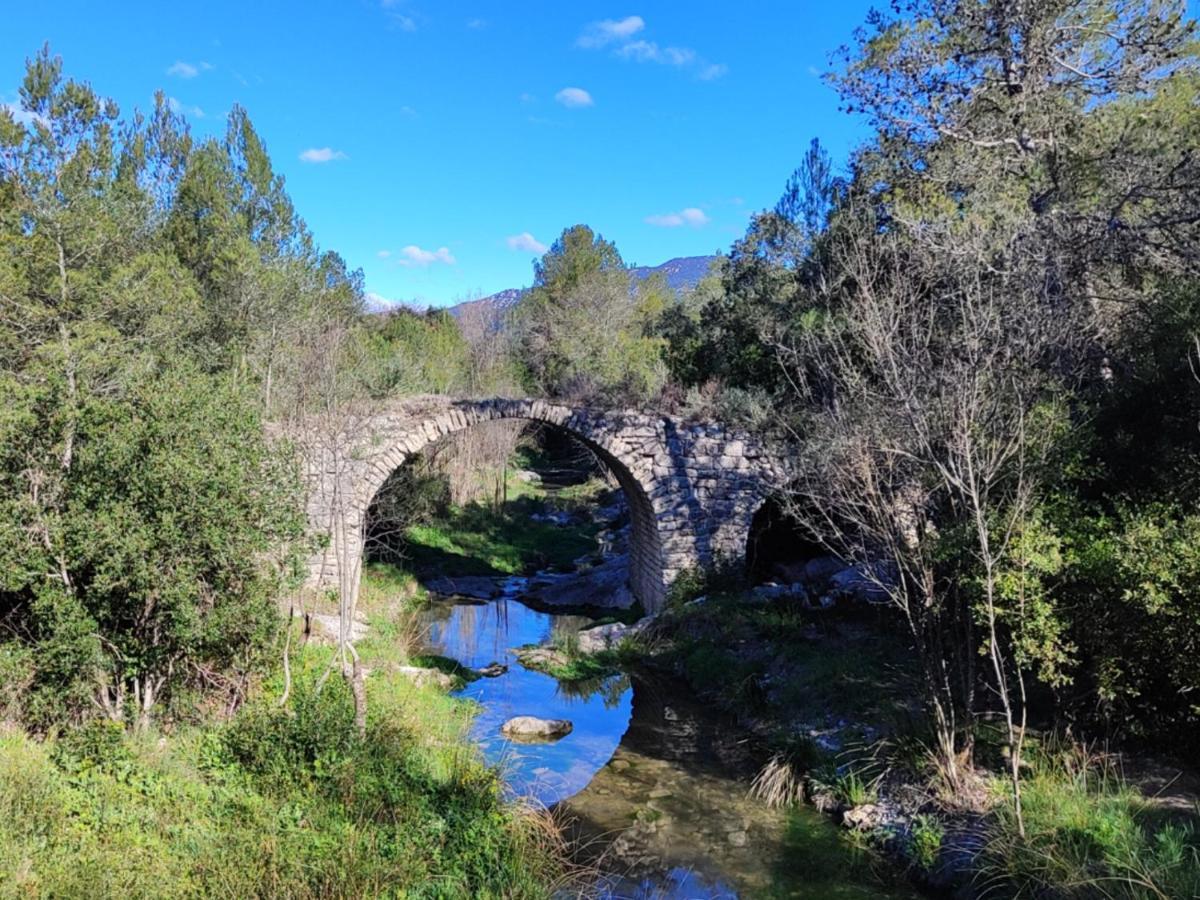 Le Castellas Du Pic St Loup Saint-Mathieu-de-Tréviers 외부 사진