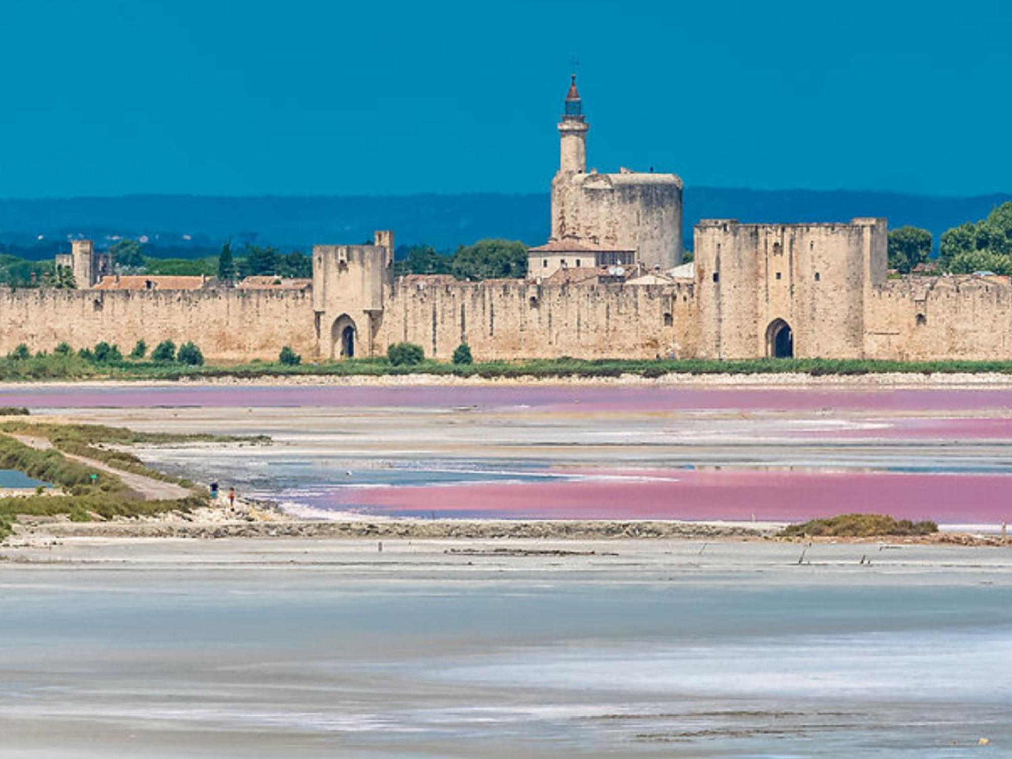 Le Castellas Du Pic St Loup Saint-Mathieu-de-Tréviers 외부 사진