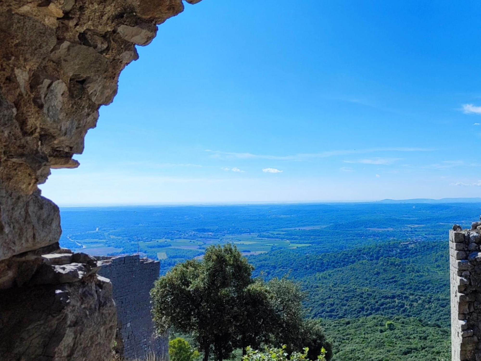 Le Castellas Du Pic St Loup Saint-Mathieu-de-Tréviers 외부 사진